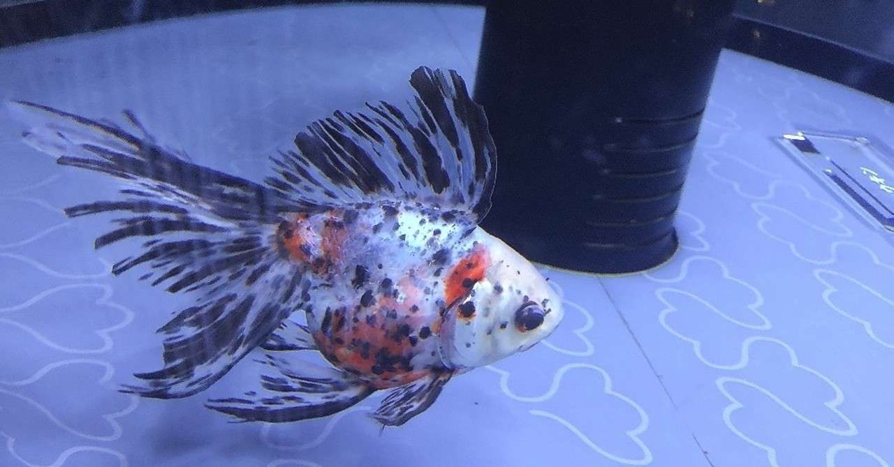 10年の付き合いの友達と関わりたくないと思ってしまった 恋愛マスターくじらオフィシャルブログ 君はモテないんじゃない フラれてないだけだ Powered By Ameba 10年の付き合いの友達と関わりたくないと思ってしまった 恋愛マスターくじらオフィシャルブログ 君はモテないんじゃない フラれてないだけだ Powered By Ameba