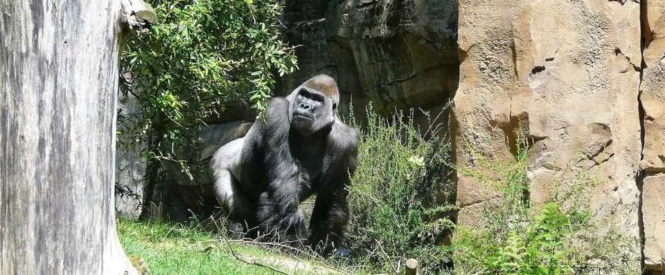 大人のかっこいいあいさつ 加藤貞顕 Note