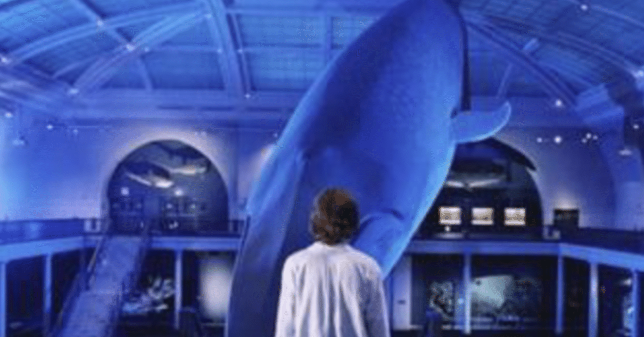 映画 イカとクジラ 怖い展示の思い出 月夜のたま Note 映画 イカとクジラ 怖い展示の思い出 月夜のたま Note