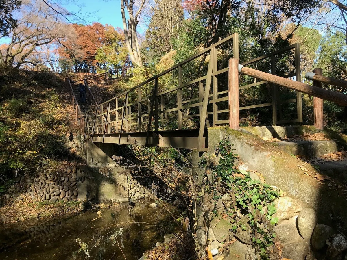 画像6