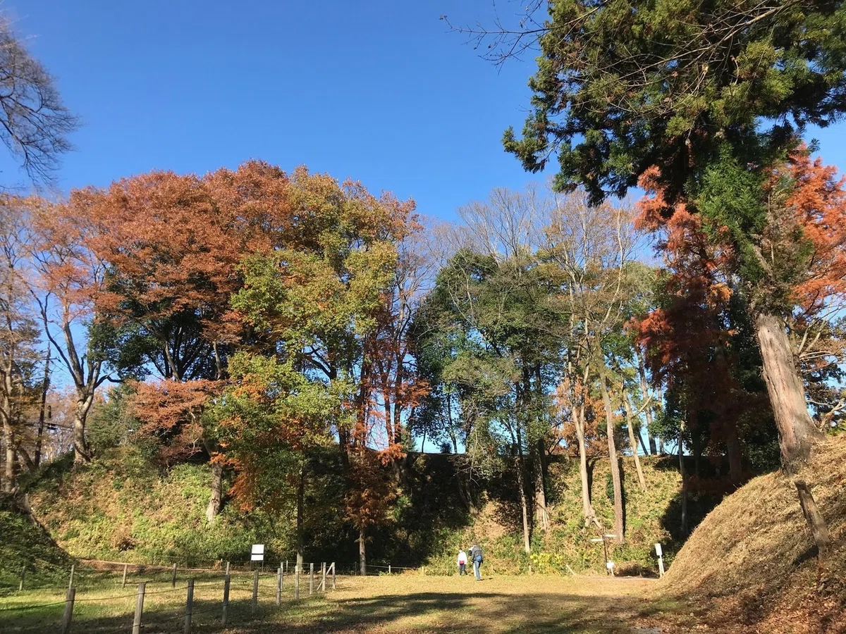 画像9