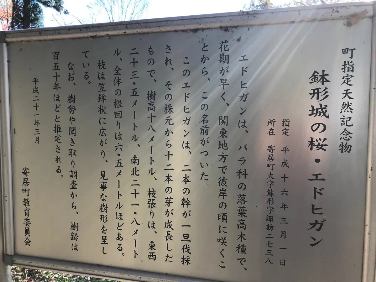 画像10