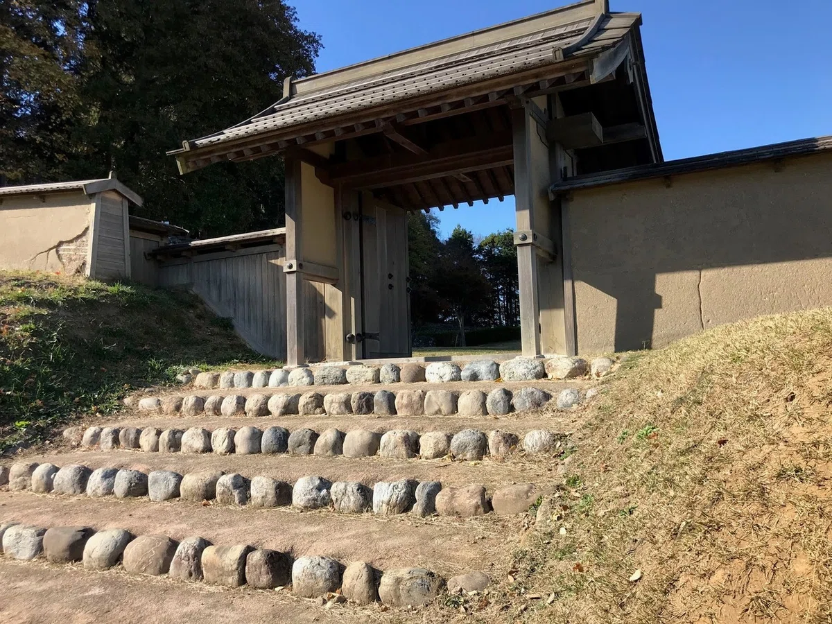 画像15