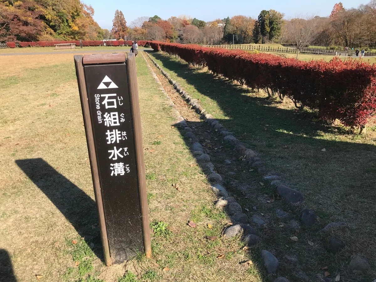 画像17