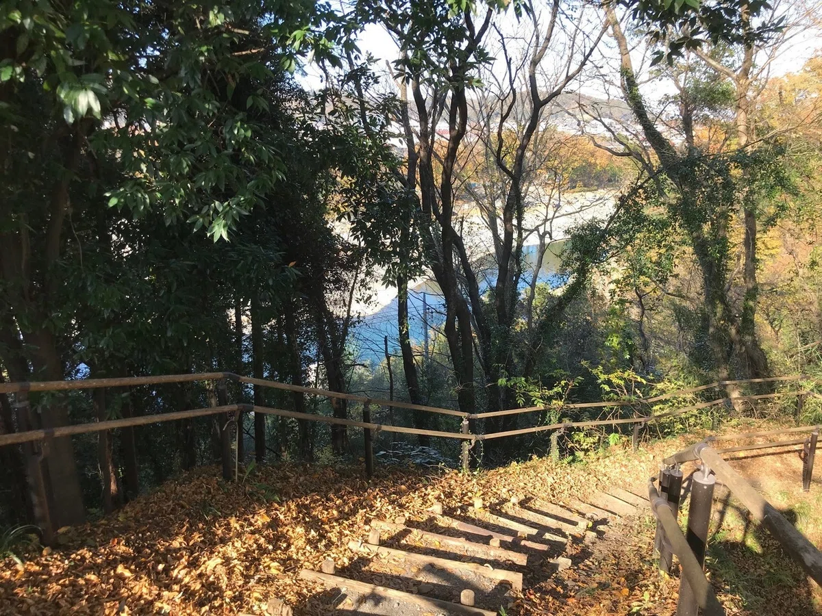 画像24
