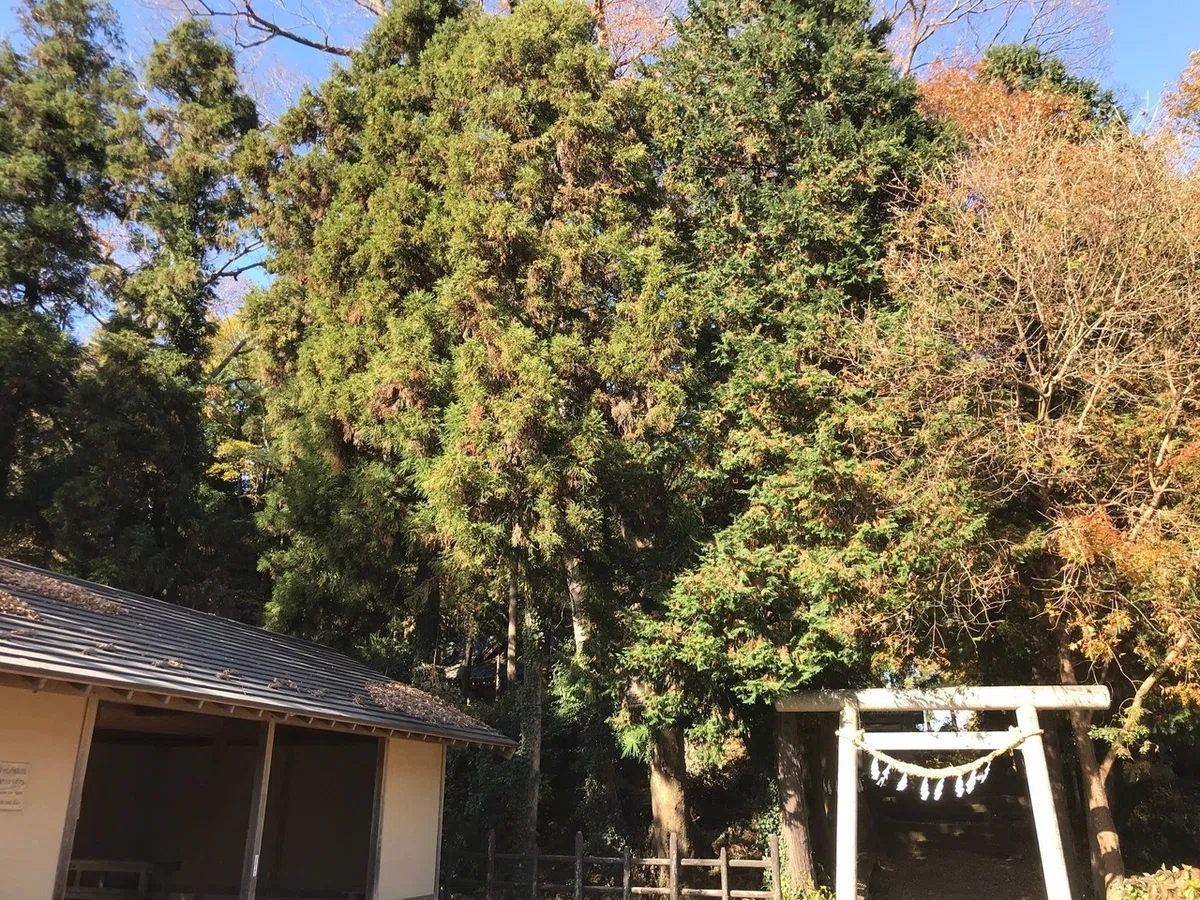 画像28