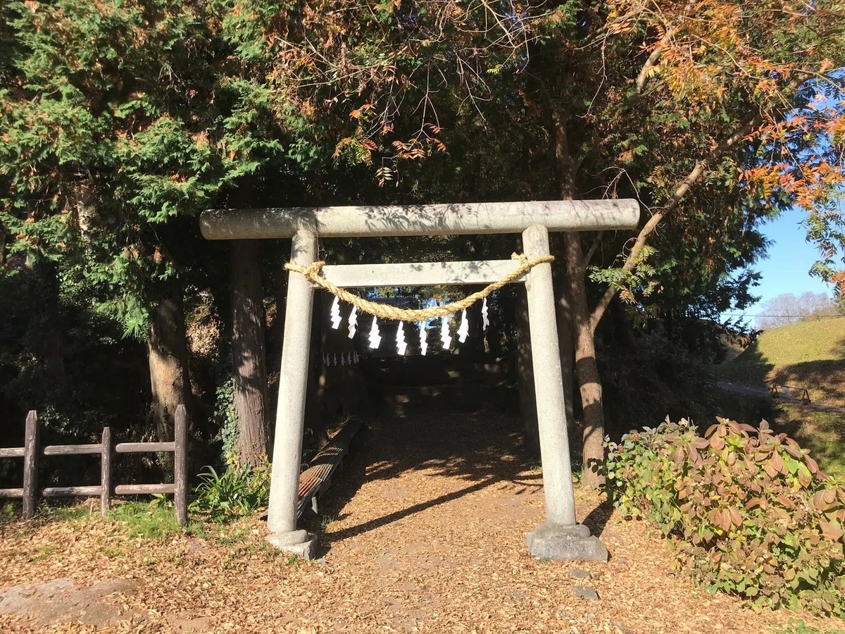 画像29