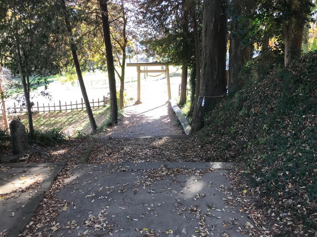 画像30