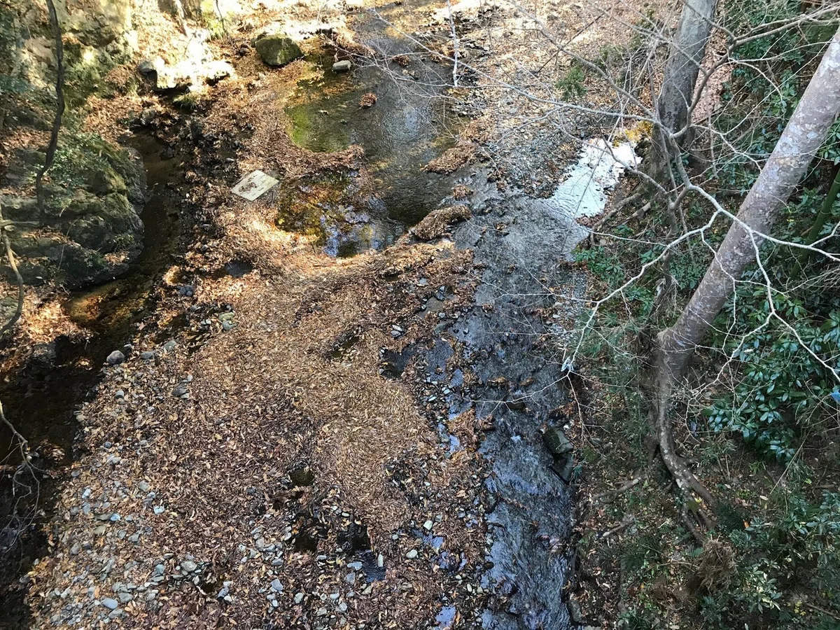画像36