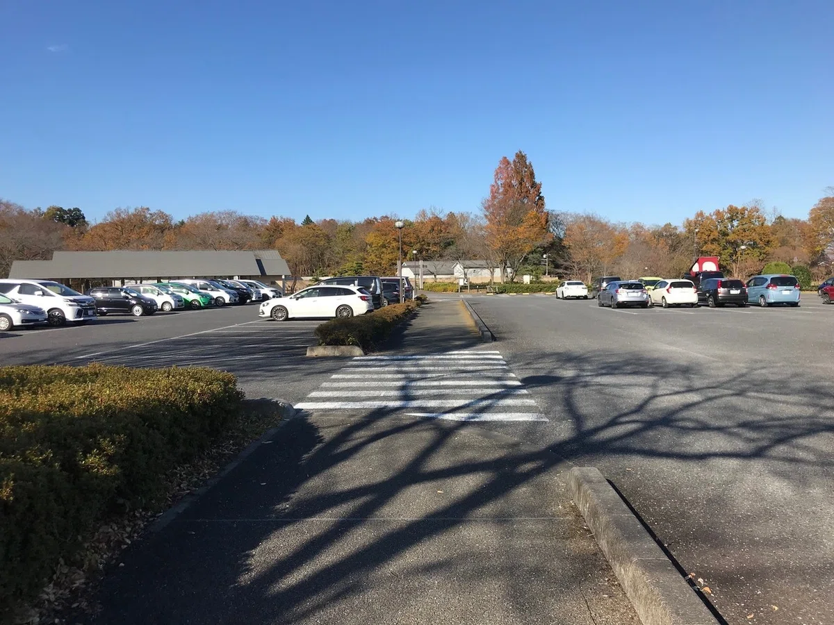 画像37