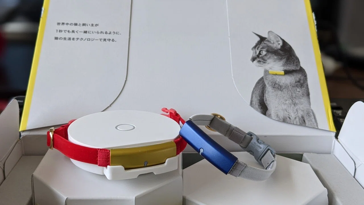 catlogを買った。＜追記あり＞｜あた