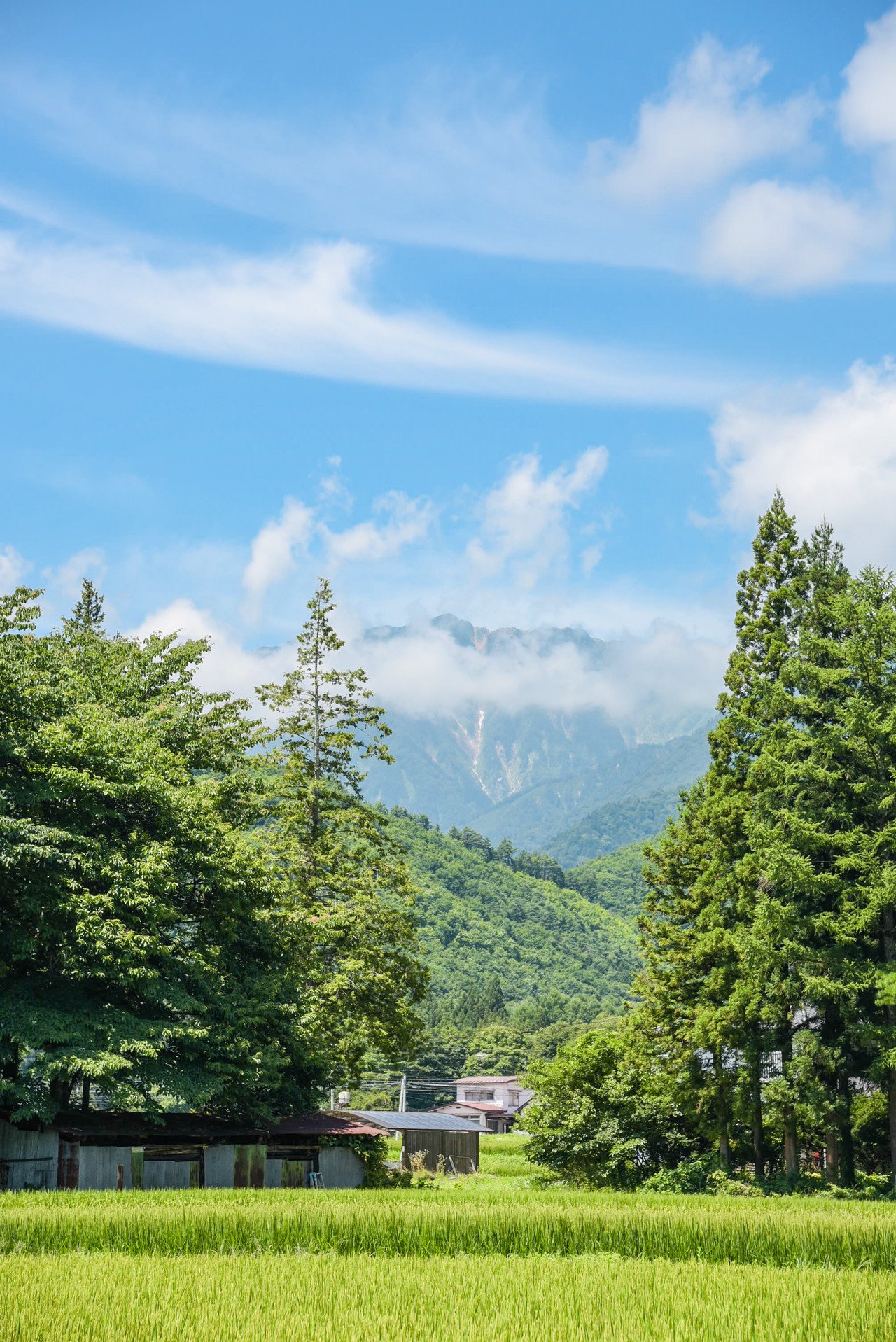 愛しき田舎の景色をあなたに贈る 北アルプス山麓の日常は壮大でカラフルだ たつみかずき 言葉と写真 時々旅 古旅館のシェアハウスと古物商 Note