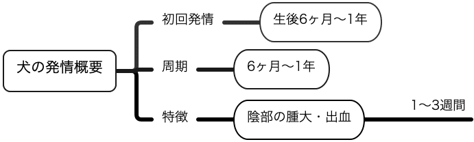 小動物臨床スクラップ 犬の発情概要 ぶっくま Note
