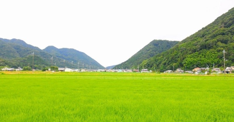 山と畑の人 鳳月庵 Manazuki 算命学 Note