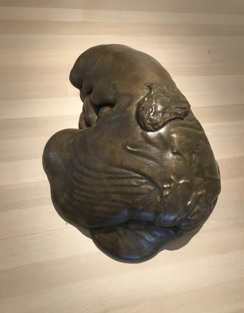 画像57