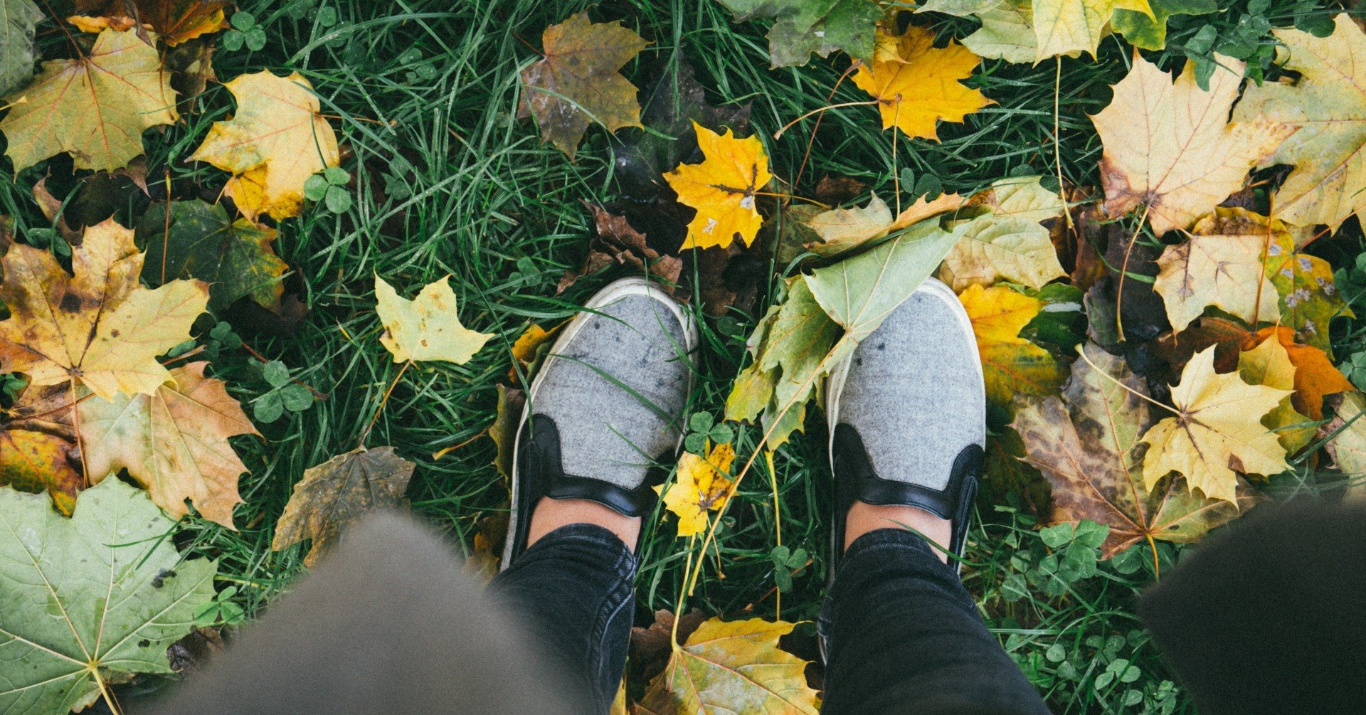 この世界がファーストパーソン視点なのおかしくない いやおかしい Fragments Of はんぺん Note