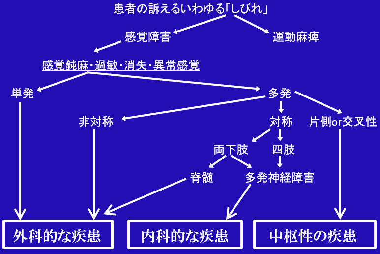 鑑別①