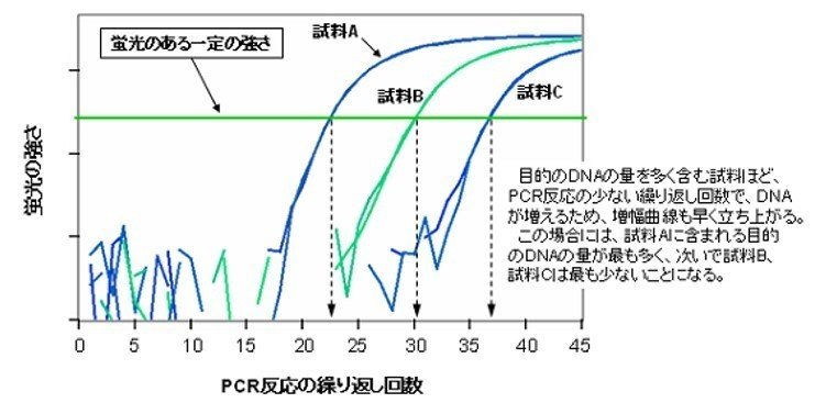 PCR反応曲線