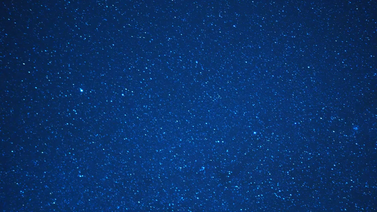 画像12