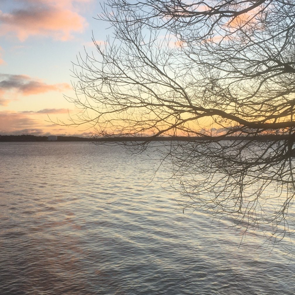 三浦春馬 美しい人 森野 しゑに Note