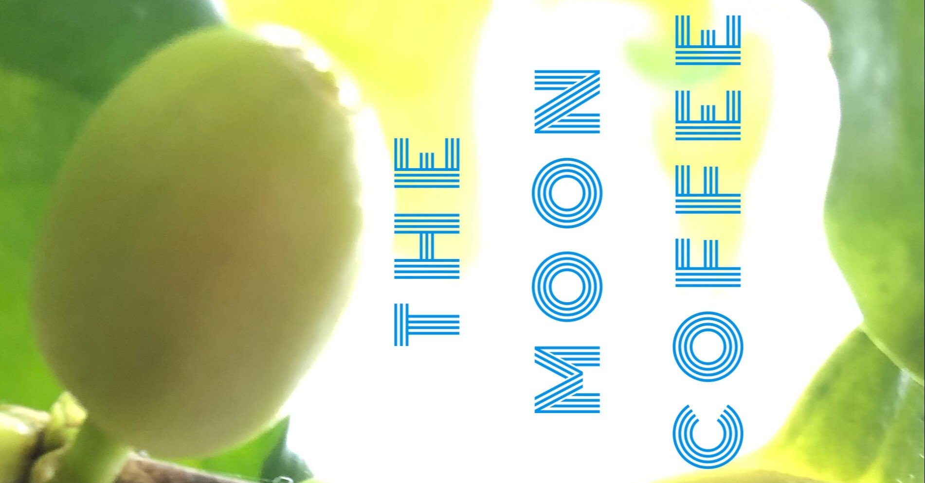 コーヒーにまつわる本 Vol 11 Yoyo The Moon Note