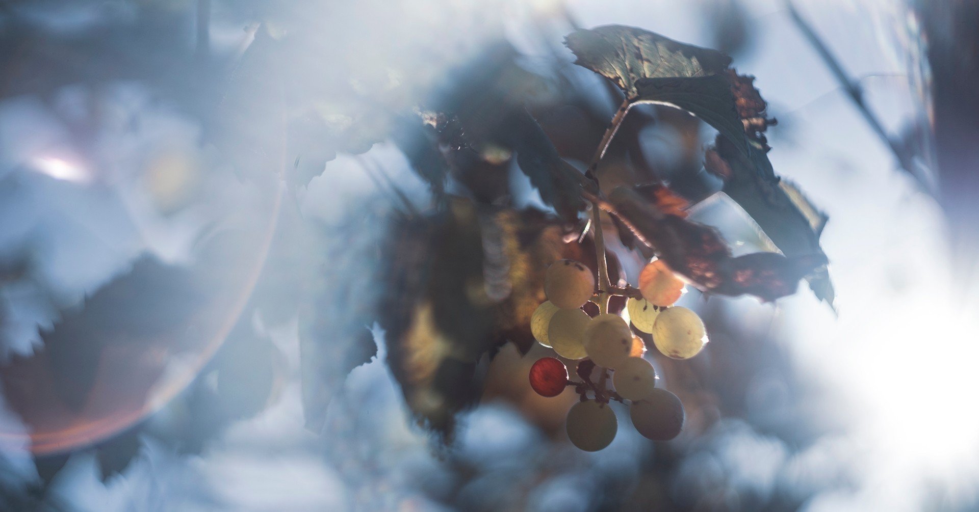 ゴーストとフレアがあれば何か凄そうな写真に見えなくもない Kiyokari43 Note ゴーストとフレアがあれば何か凄そうな写真に見えなくもない Kiyokari43 Note