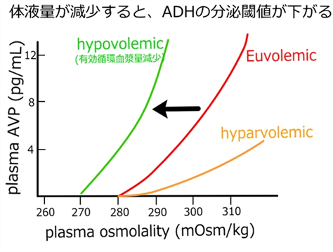 血清病様反応とは何ですか?