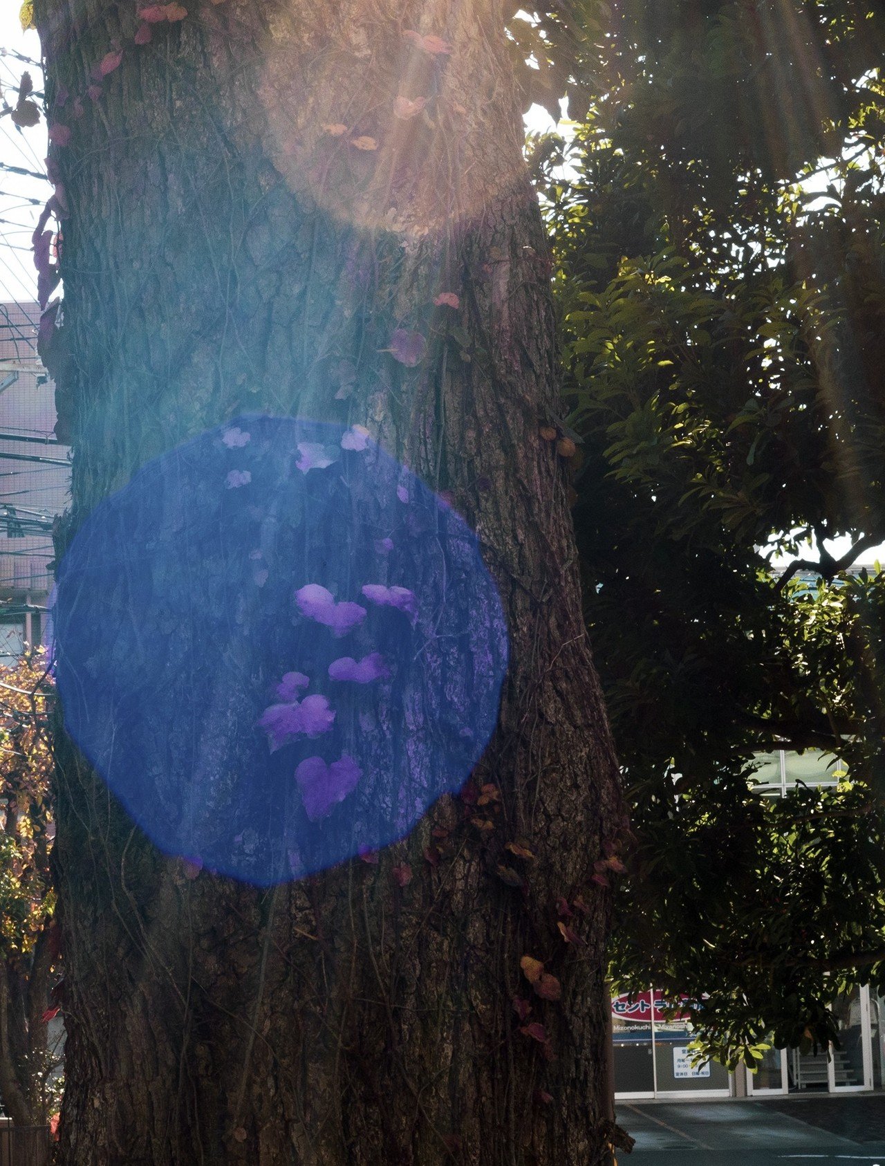 ゴーストとフレアがあれば何か凄そうな写真に見えなくもない Kiyokari43 Note ゴーストとフレアがあれば何か凄そうな写真に見えなくもない Kiyokari43 Note