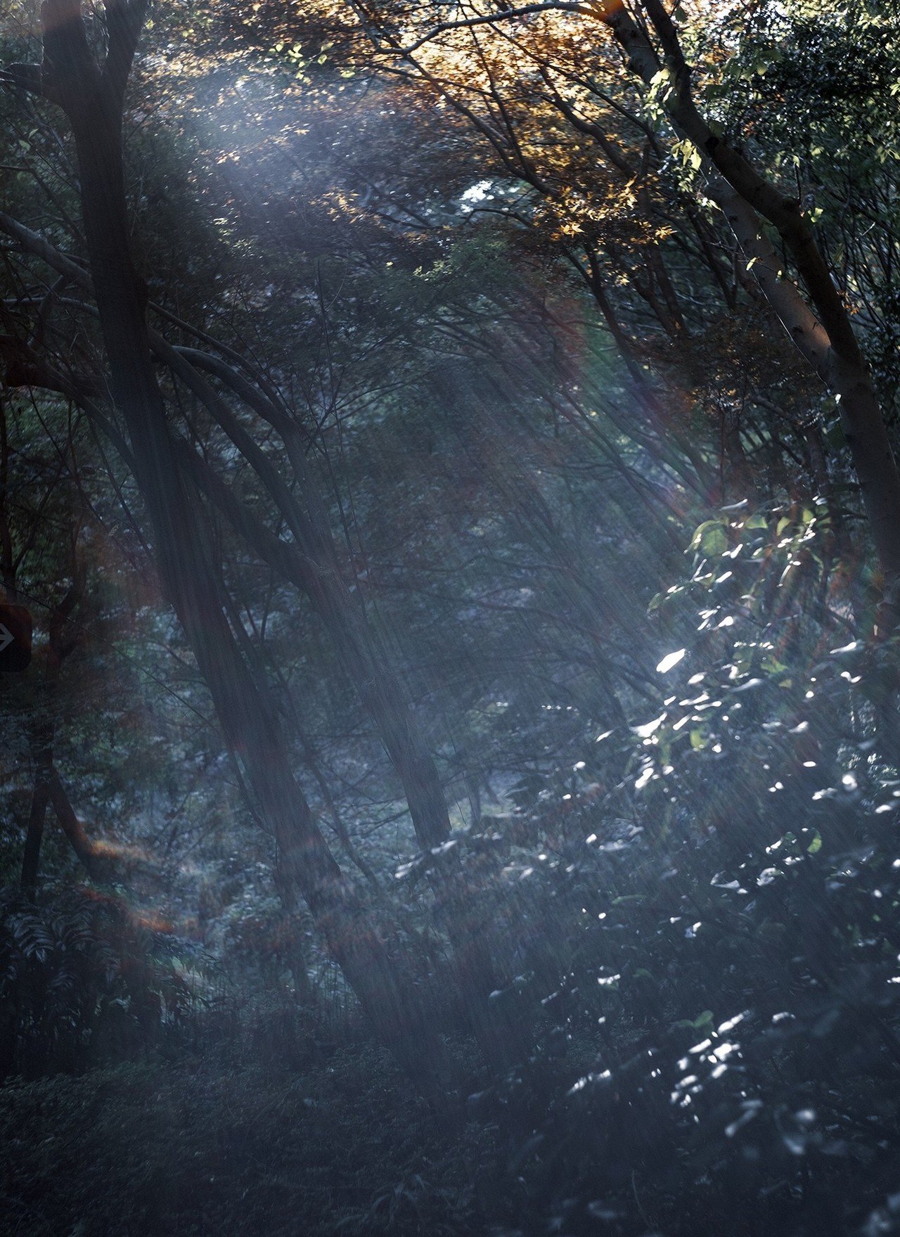 ゴーストとフレアがあれば何か凄そうな写真に見えなくもない Kiyokari43 Note ゴーストとフレアがあれば何か凄そうな写真に見えなくもない Kiyokari43 Note