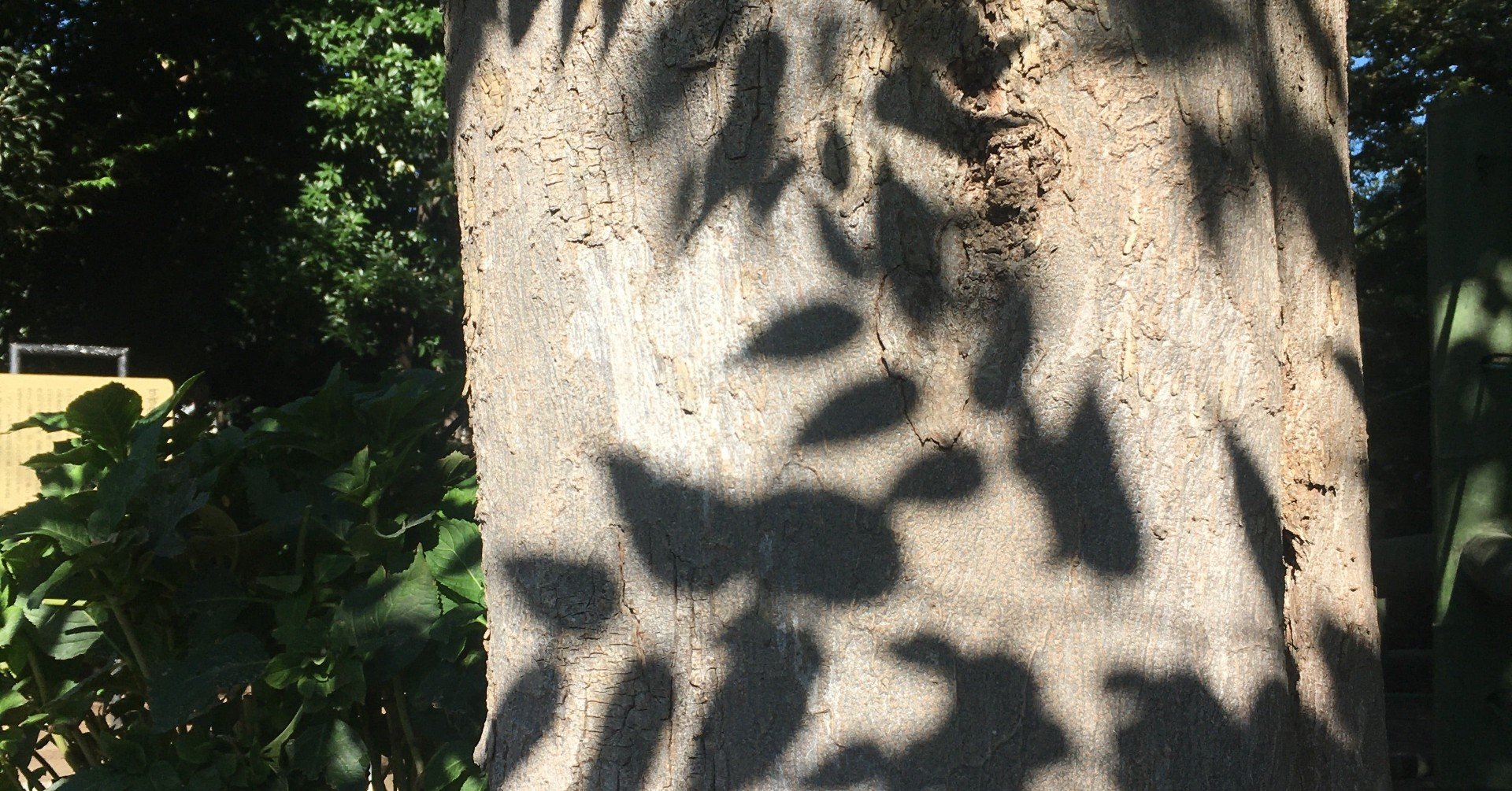 創価学会で生きるメリットとデメリット ゆるめ Note