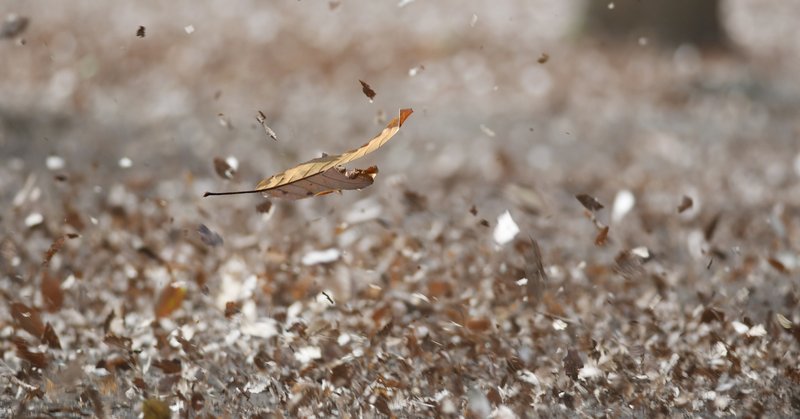 春一番 滄漣舎 Sorensha Note