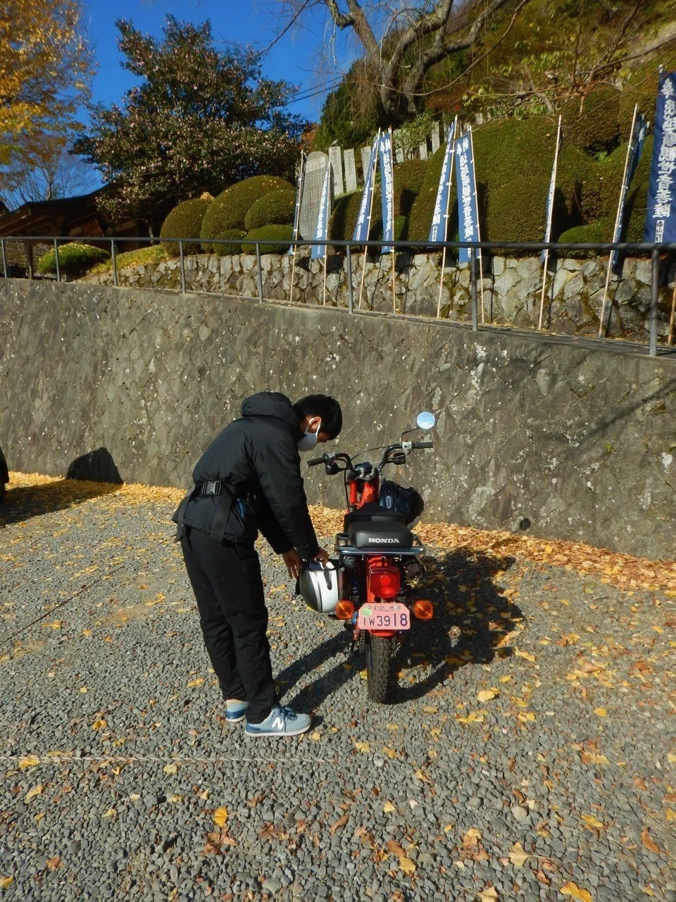画像5