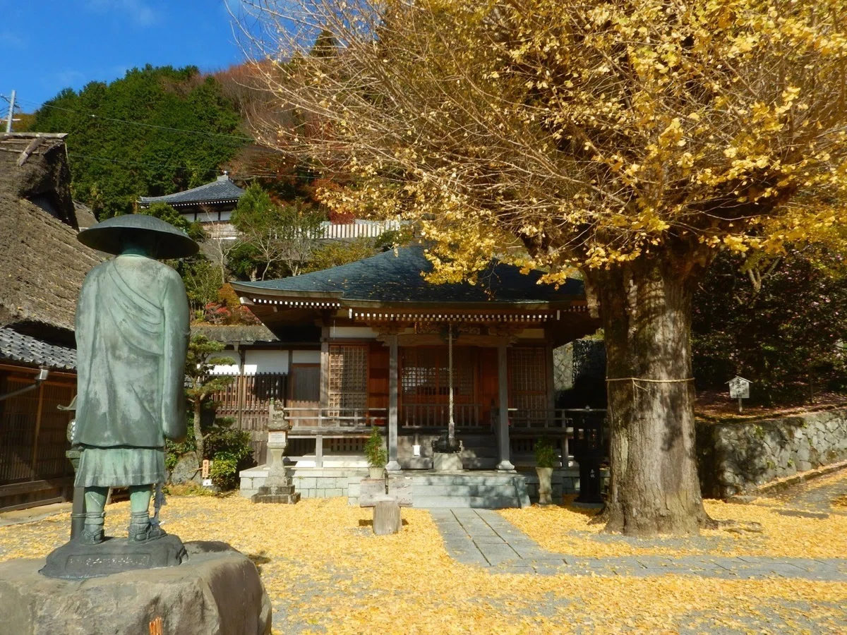 画像7