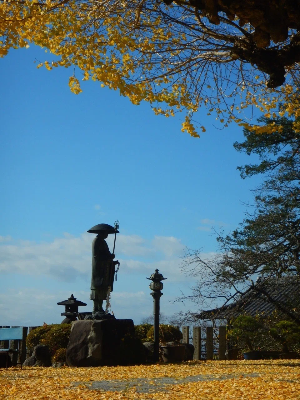 画像8
