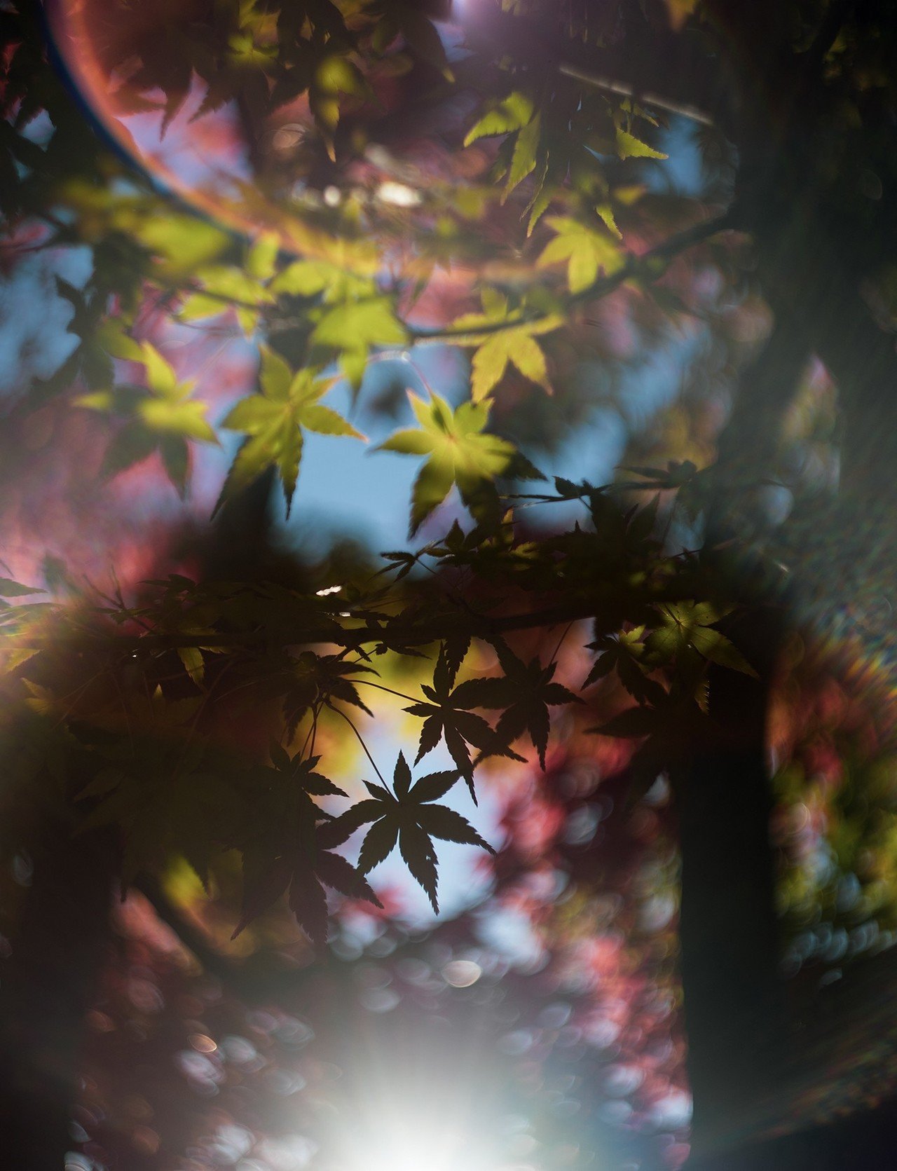 ゴーストとフレアがあれば何か凄そうな写真に見えなくもない Kiyokari43 Note ゴーストとフレアがあれば何か凄そうな写真に見えなくもない Kiyokari43 Note