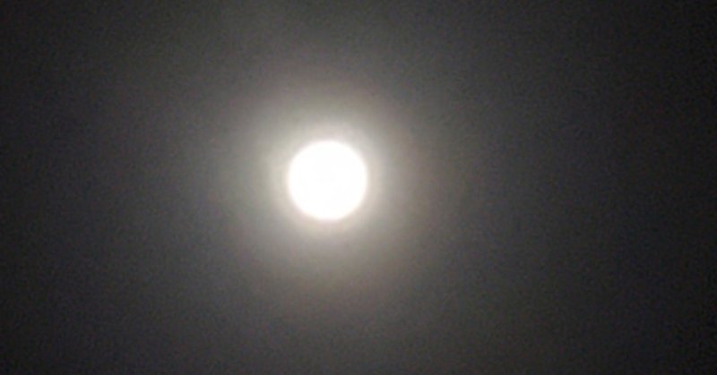 溺れる君 夕凪兄弟 明日 Note 溺れる君 夕凪兄弟 明日 Note