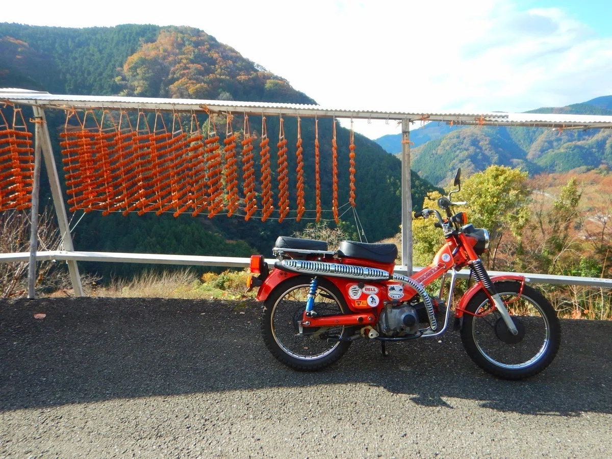 画像11