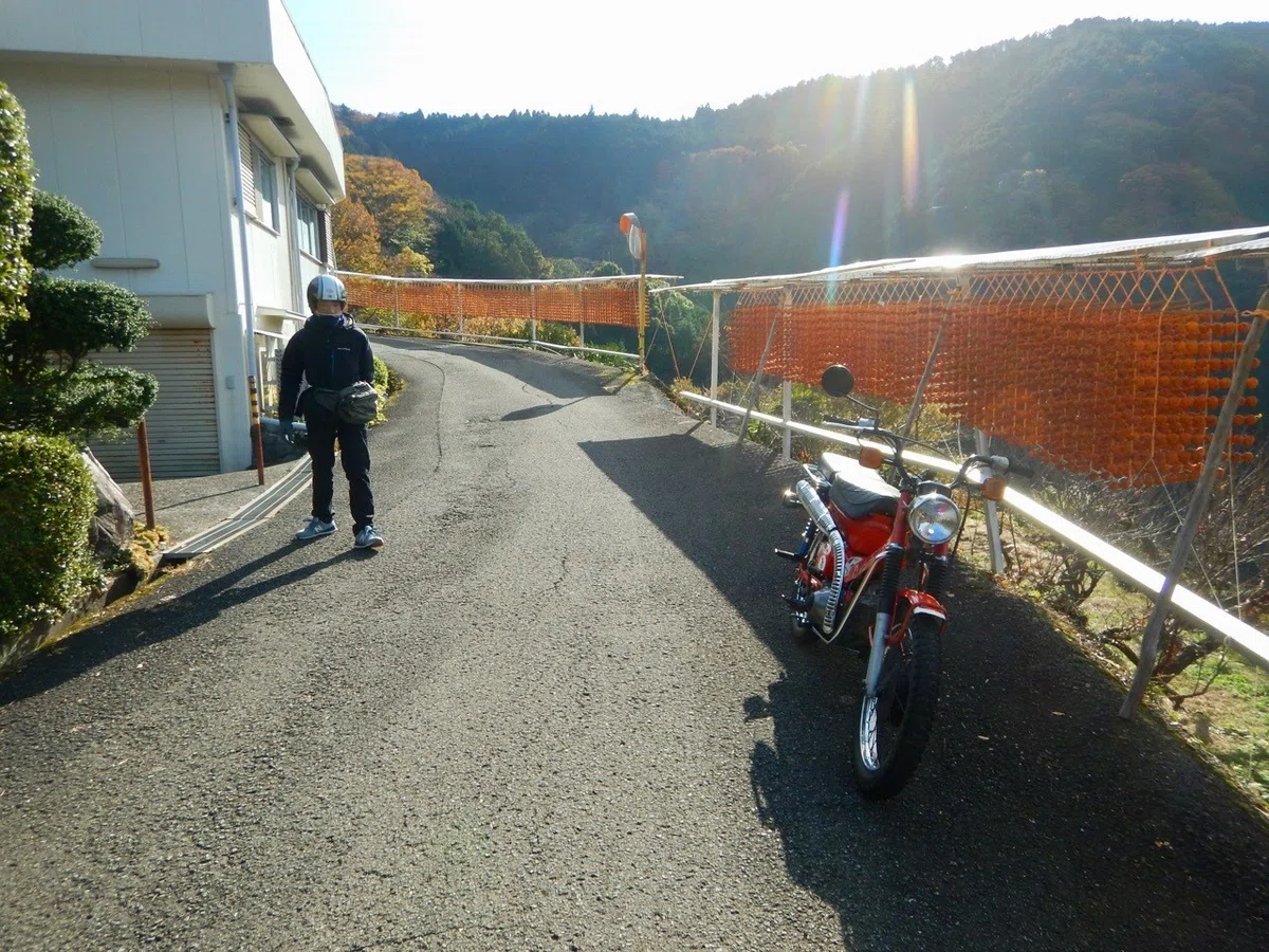 画像12