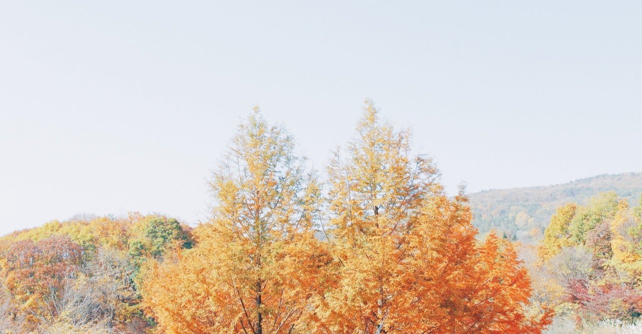 12月の蠍座の運勢 しいたけ占いのしいたけ