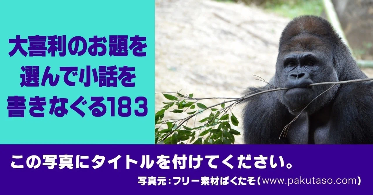 大喜利のお題を選んで小話を書きなぐる183】写真で一言(第10回
