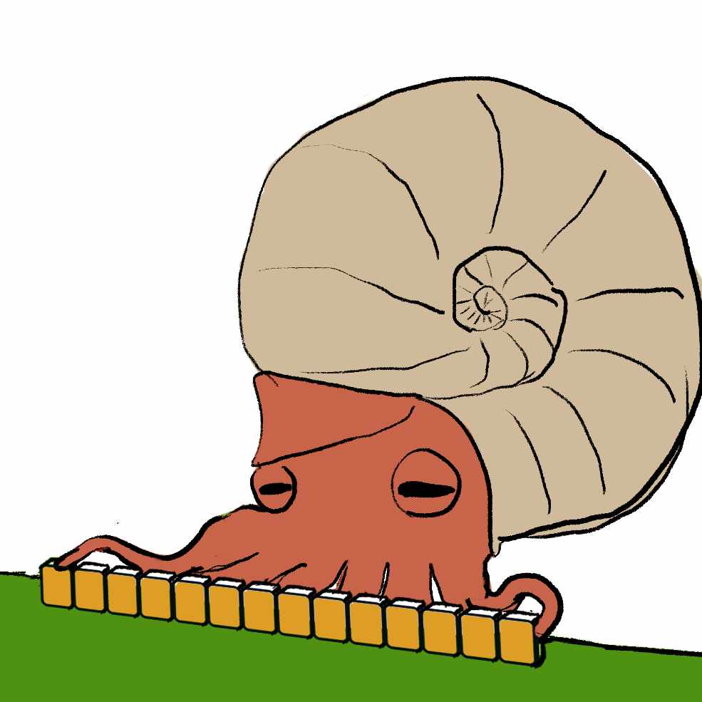 アンモナイト鈴木