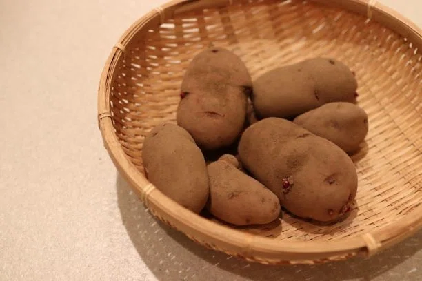 画像6