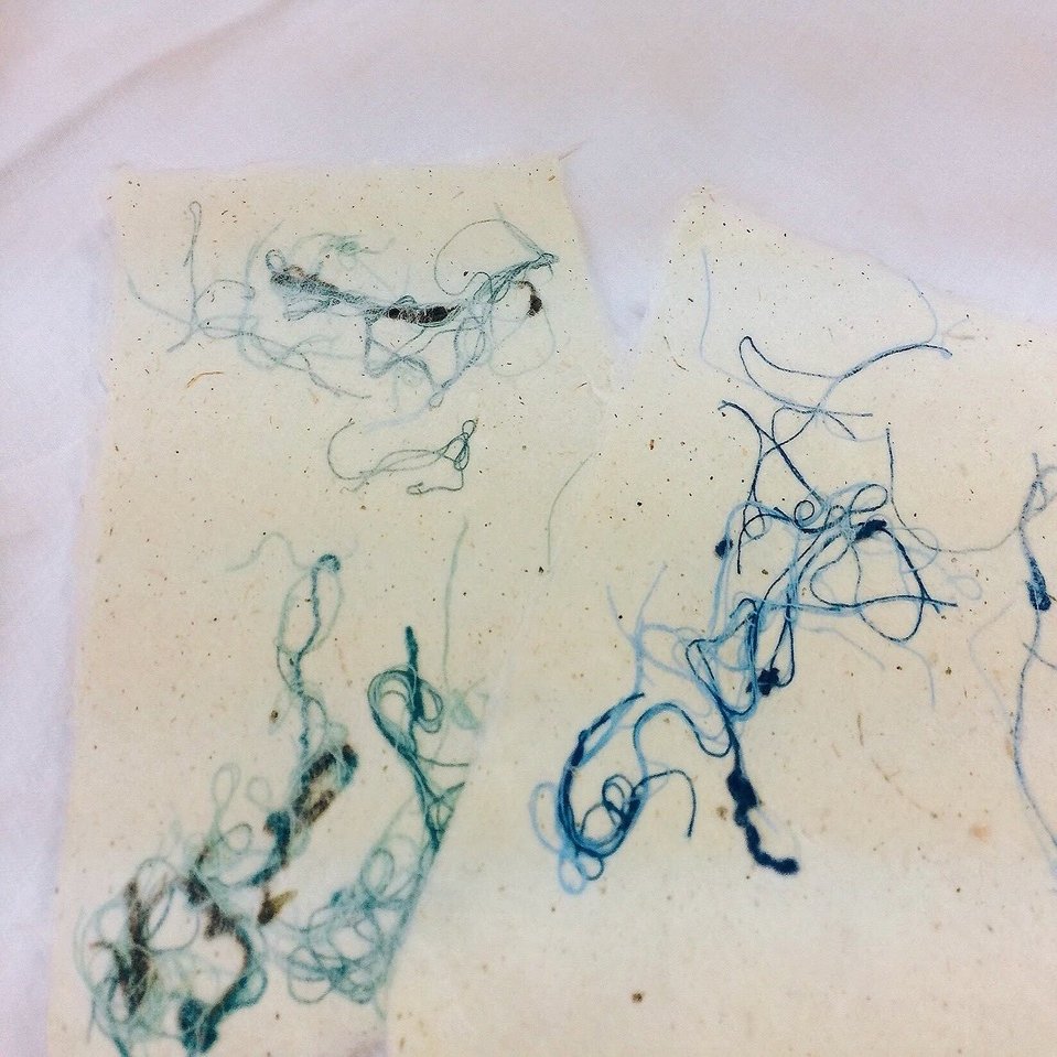 紙が好きすぎて世界一周した303日間、本にして出版できるか？｜ライツ社