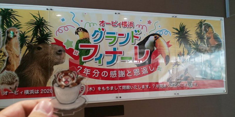 Zaso 029 神奈川県 オービィ横浜 Zasoちゃんねる Note