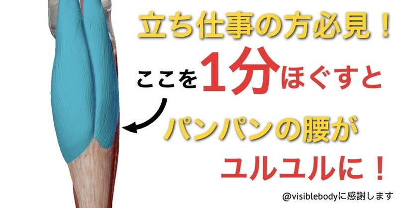 腰痛ケア パンパンに張った腰がたった1分でユルユルに 効果抜群の筋膜ケア ふくらはぎ編 Vol 4 公式ブログ 腰痛 専門施術院 リセット 長崎 Note 腰痛ケア パンパンに張った腰がたった1分でユルユルに 効果抜群の筋膜ケア ふくらはぎ編 Vol 4 公式ブログ 腰痛 専門施術院 リセット 長崎 Note