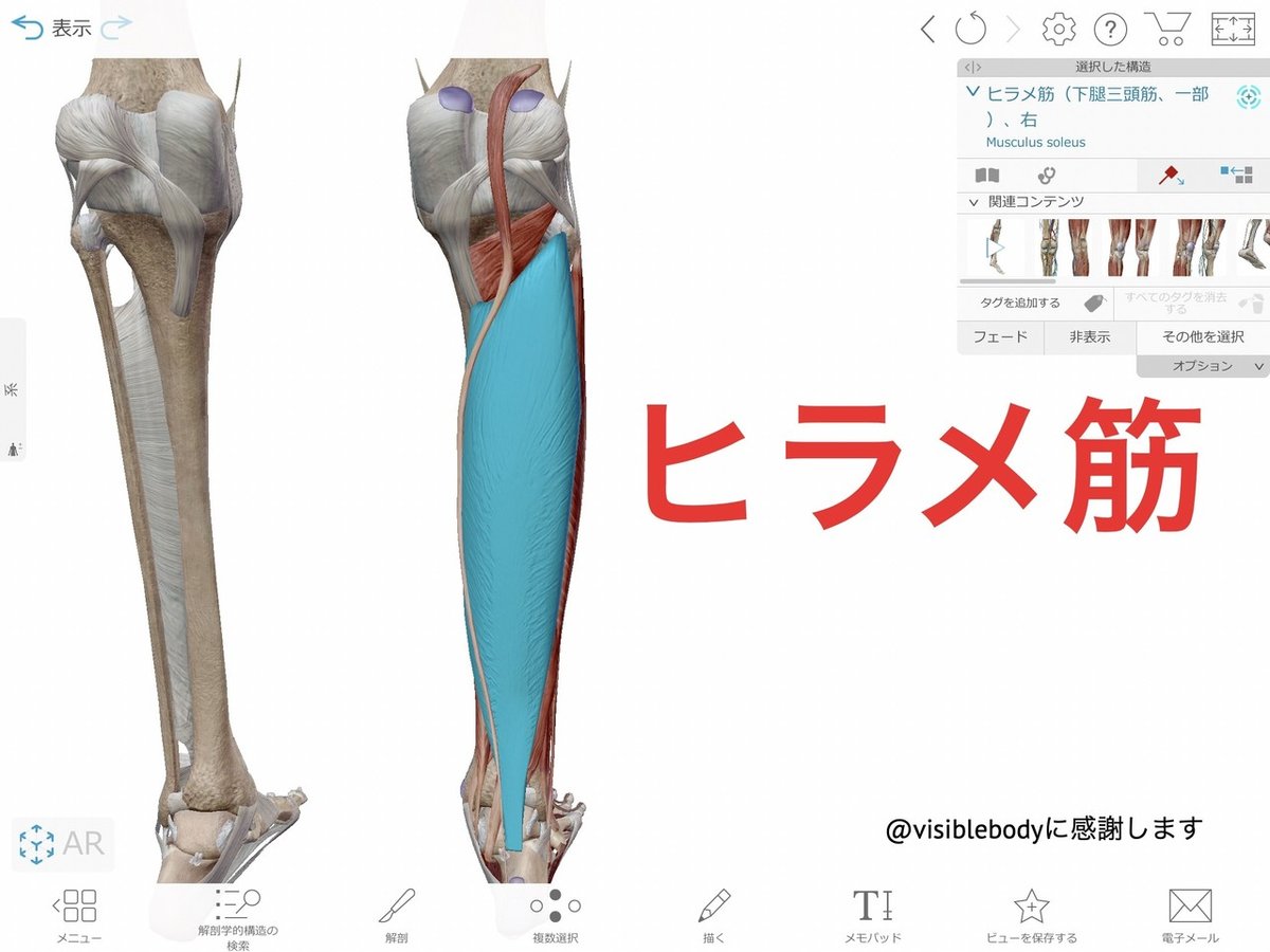 無題のデザイン-325