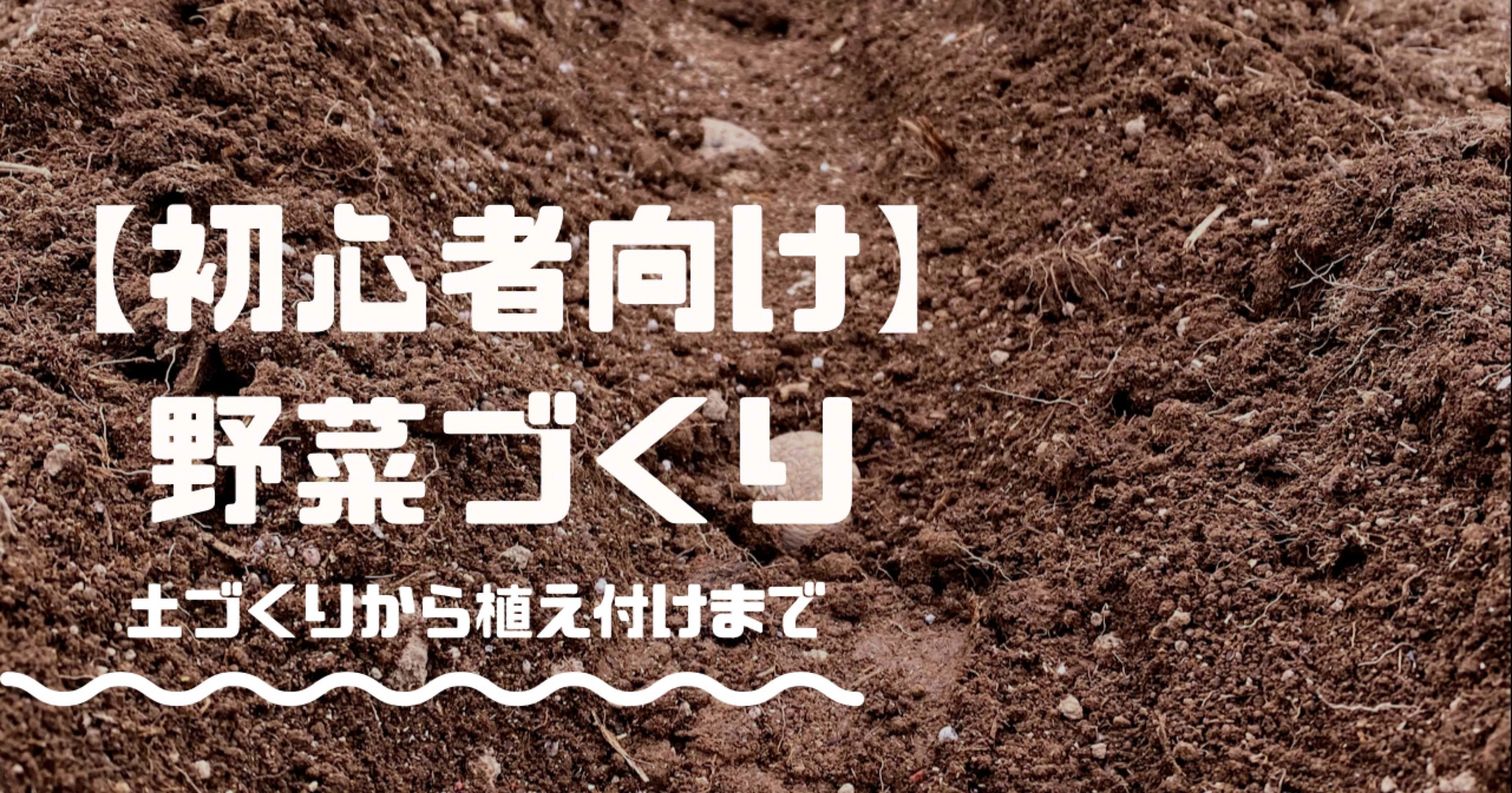 初心者向け 野菜づくり 土づくりから植え付けまで 失敗談あり ちっち Note