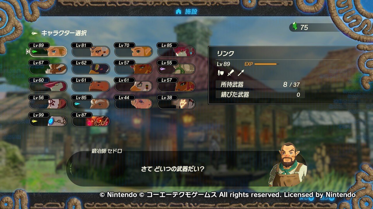 ネタバレありまとめ ゼルダ無双 厄災の黙示録100 達成した Splatoonブキ研究所 Note