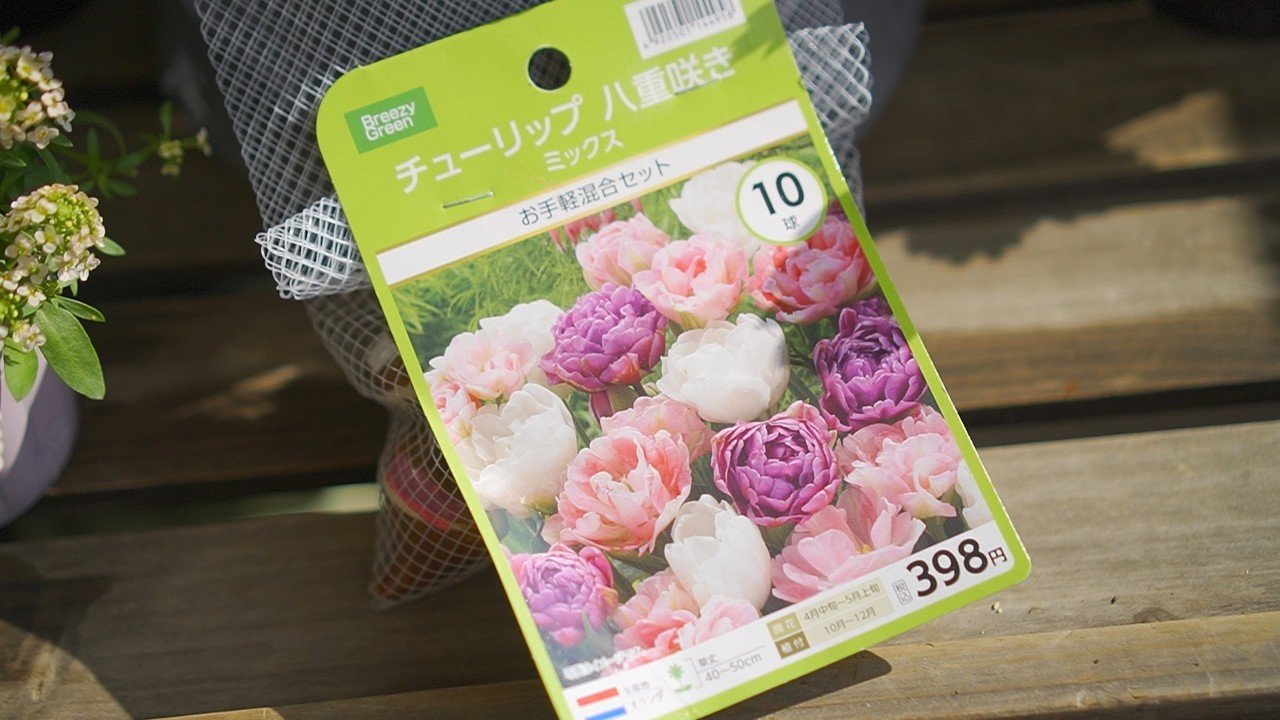 チューリップの花束植えに挑戦したよ ゆかこ うつ畑 Note