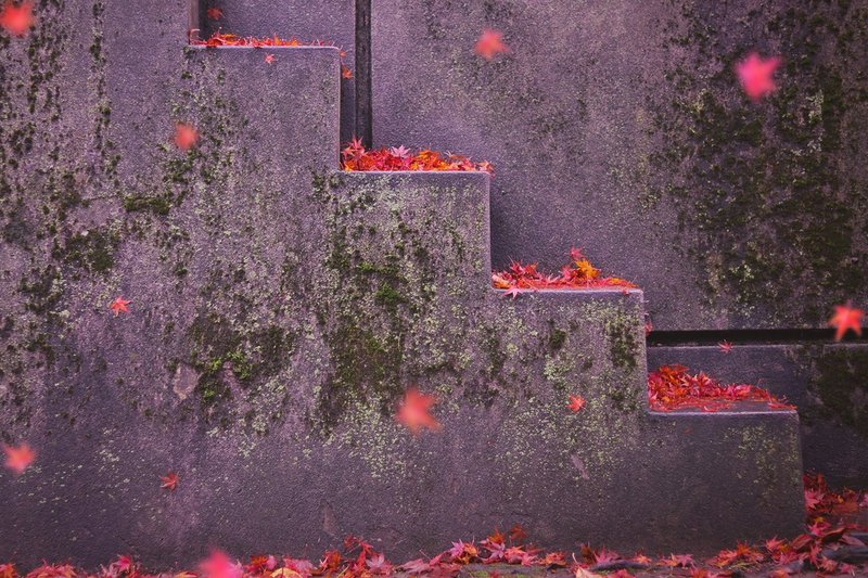 落ち葉の階段